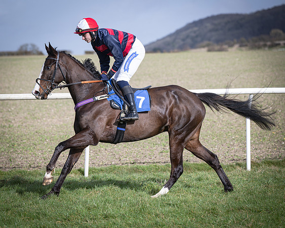 Race 3 - The Maiden Conditions (71 of 214)