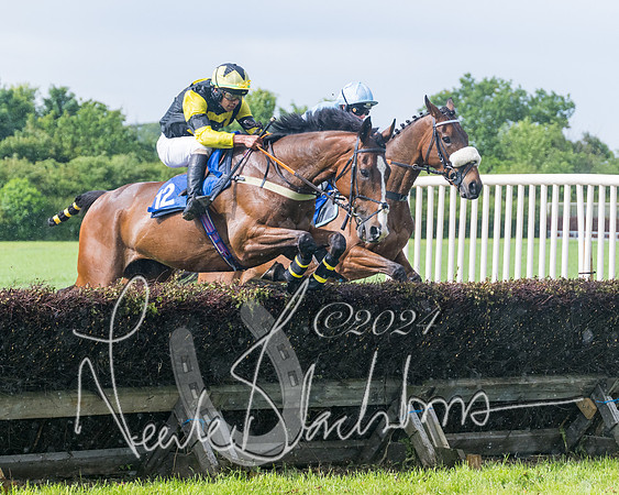 Race 4 - Mixed Open (139 of 591)