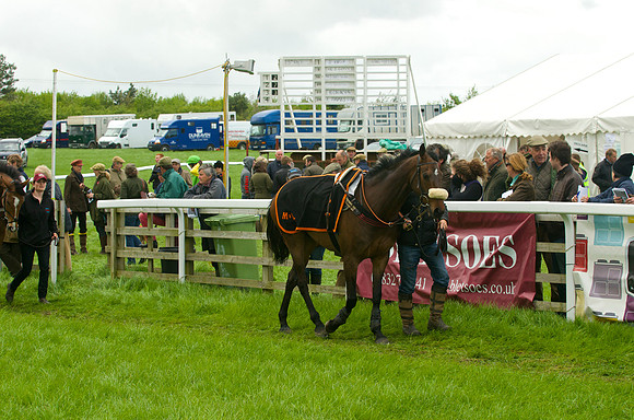 Race 5 - Restriced 6
