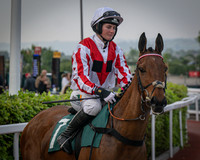 Race 5 - The Cheltenham and South West racing club Mares open Hunter chase - 3m1f-56y