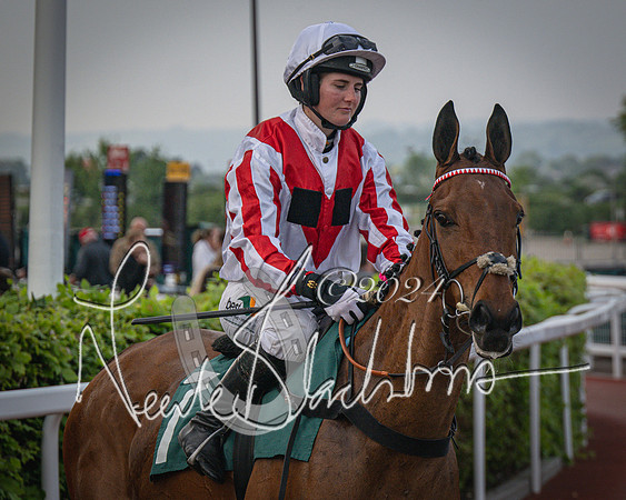 Race 5 - Mares Open Hunter Steeplechase 3m2f 70y (50 of 269)