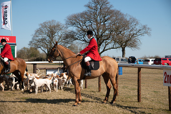 Hunt Horses annd Hound parade (2 of 44)