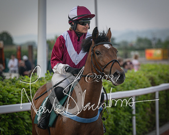 Race 5 - Mares Open Hunter Steeplechase 3m2f 70y (45 of 269)
