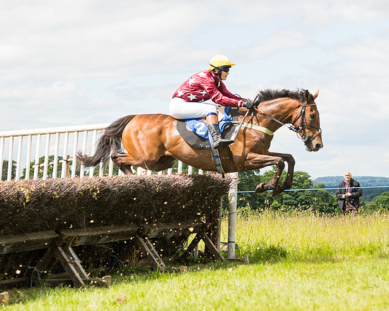 Race 2 - PPORA Novice Riders  (96 of 187)
