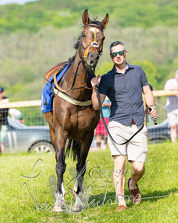 Race 5  - Maiden race 2m5F Div-2 (3 of 205)