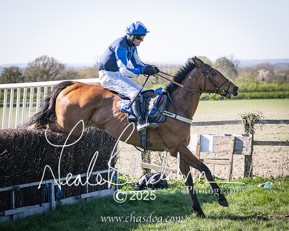 Race 6 - Veteran horse (90 of 109)