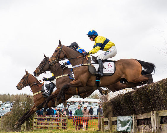 Race 1 - 4&5 Maiden (8 of 66)
