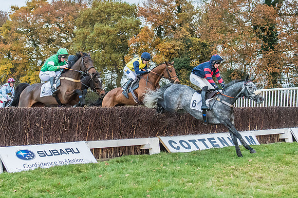 2 Mile 4 Furlong Maiden Race -13
