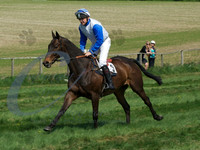 picture-6