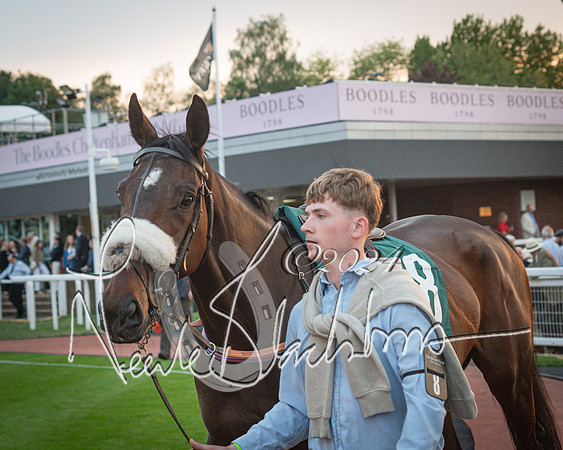 Race - 7 The Royal Gloucester Hussars Open Hunter's steeplechase 2m4f 127y (16 of 210)