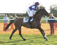 Race 7 - Novice Riders Race (9 of 145).jpg