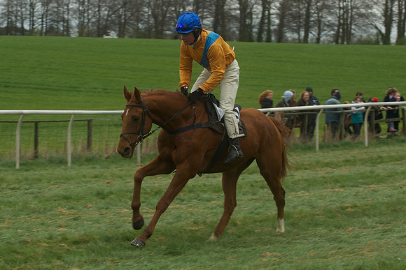 Race 4 - Novice riders 37