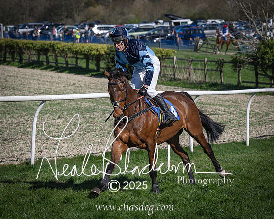 Race 6 - Veteran horse (21 of 109)
