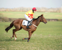 Race 4 - Restricted Race (11 of 137).jpg