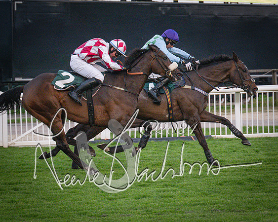 Race - 7 The Royal Gloucester Hussars Open Hunter's steeplechase 2m4f 127y (122 of 210)