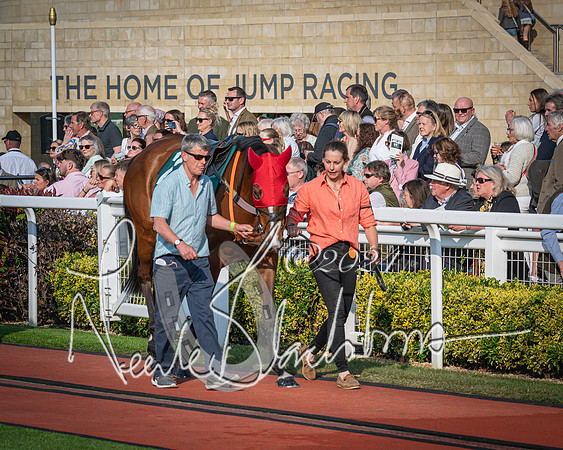 Race 3 - The Junior Jumpers open hunter's steeple chase 3m1f56y (3 of 156)