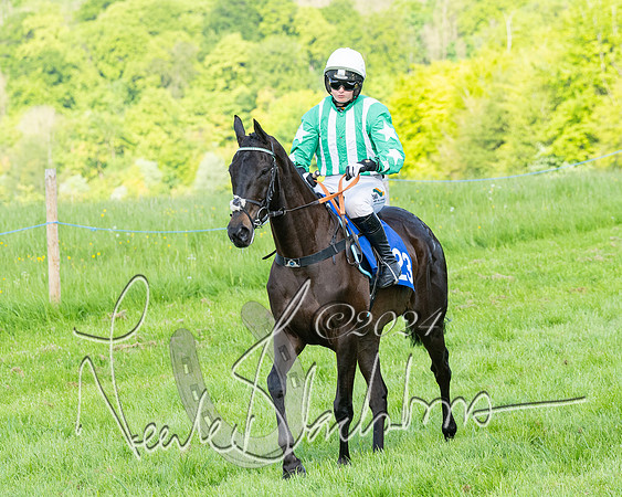 Race 5  - Maiden race 2m5F Div-2 (115 of 205)