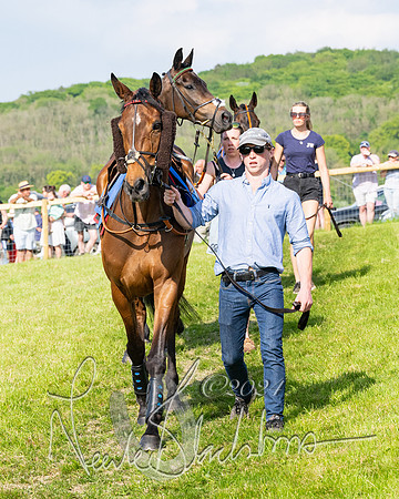 Race 5  - Maiden race 2m5F Div-2 (28 of 205)