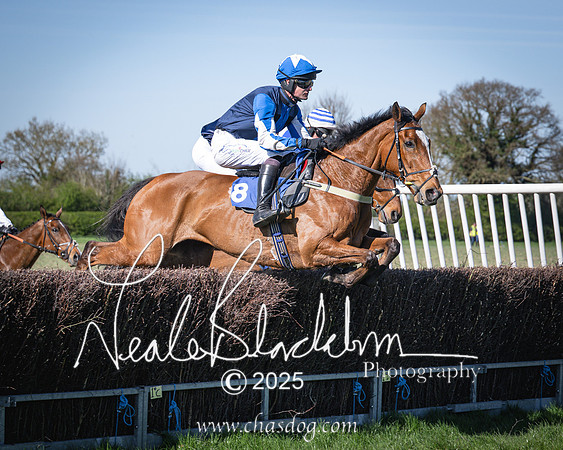 Race 6 - Veteran horse (51 of 109)