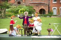 Fantastic Mr Fox 36