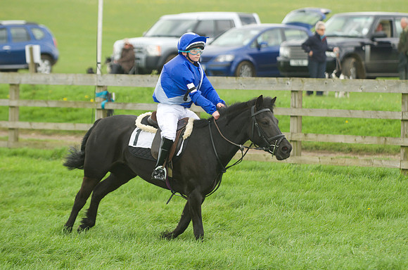 Pony Race - 1   30