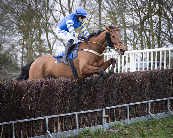 Race 2 - The Maiden (93 of 156)