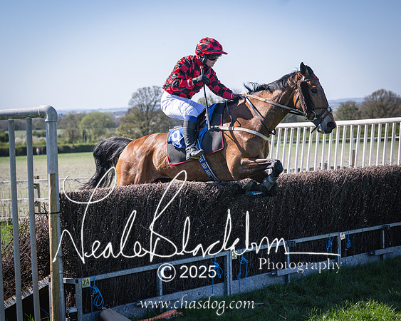 Race 5 - The restricted (88 of 113)