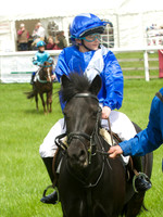 Pony Race - 1   15