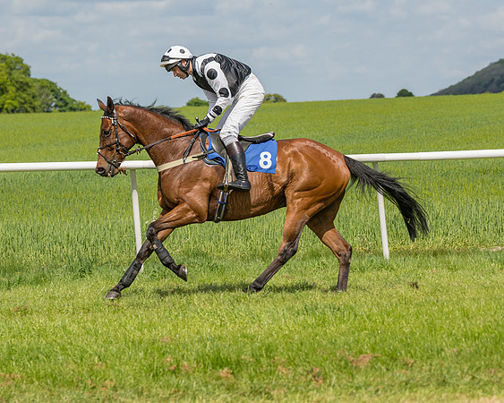 Race 2 - Restricted  (34 of 90)