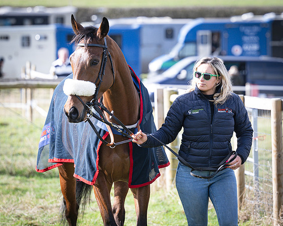 Race 1 - Four and Five year Old Maiden (30 of 137)