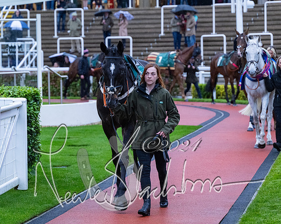 Race 7 - Glos Hussars (2 of 220)