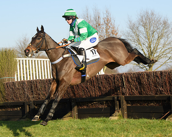 Race 2 - PPORA Novice Riders  (126 of 205)