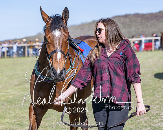 Race 5 - The restricted (8 of 113)