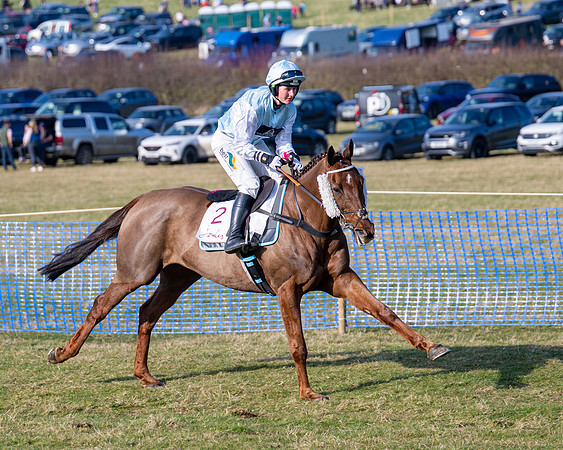 Race 5 - PPORA Five years and over (51 of 163)