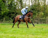 Race 3 - Young Horse Maiden (8 of 216)
