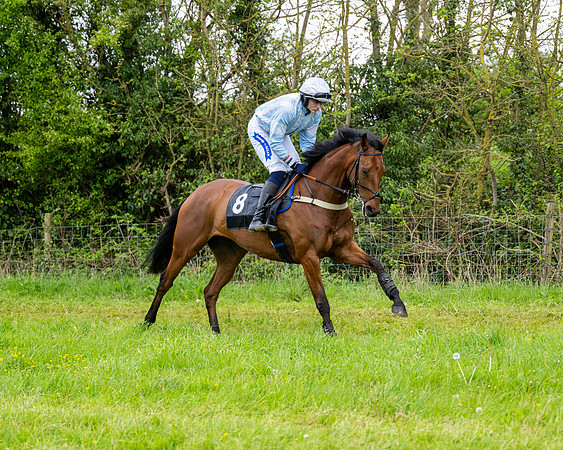 Race 3 - Young Horse Maiden (8 of 216)