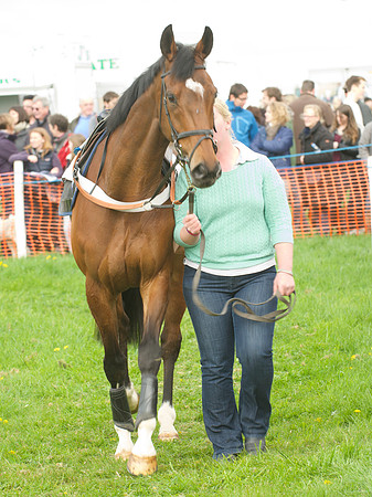 Kimblewick at Kimble Restricted Race