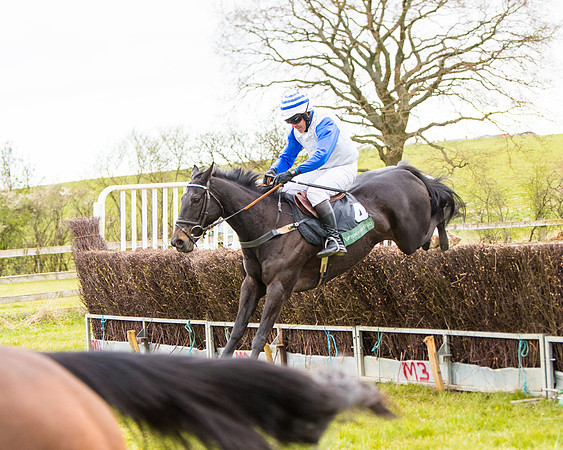 Race 6 - 6 year old and over Maiden 2m4f (43 of 62)