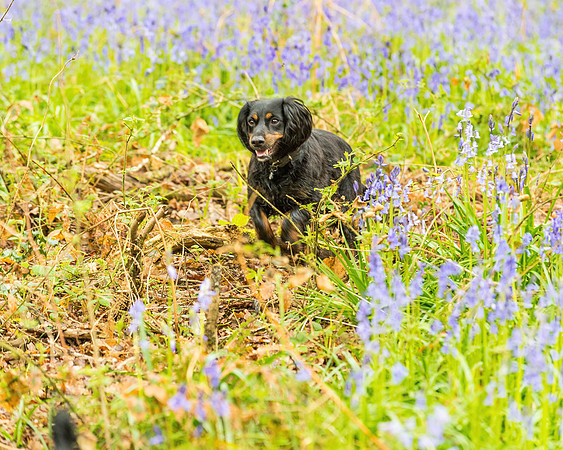 Anne BnB  (46 of 227)