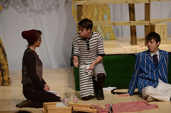 Wind in the Willows Dress 22
