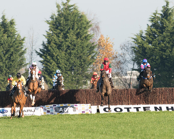Race 1 - PPORA conditions 25