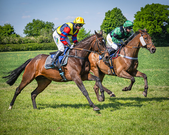 Race 3 The College and County Ladies Open Race (76 of 122)