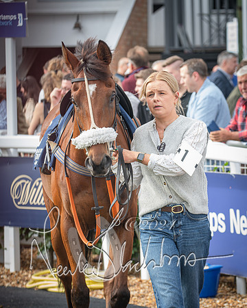 Race 1 - Pointing Pointers Restricted Final (13 of 79)