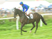 Old Berks at Lockinge PPORA novice and veteran riders race