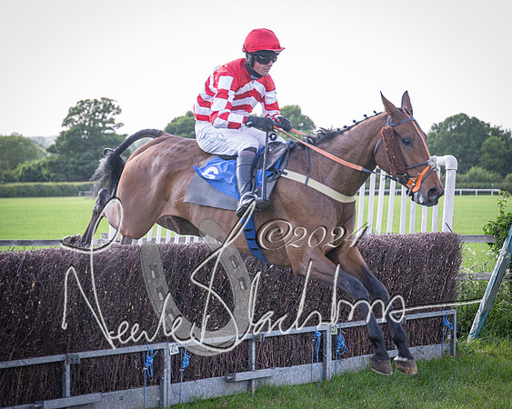 Race 6 - Thorn Plant Hire Maiden Race (94 of 129)