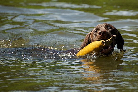 WCGB-04AUG-2013 Water Training Day 156
