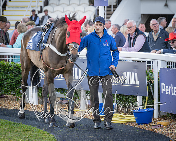 Race 5 - tipsterreviews.co.uk handicap (6 of 107)