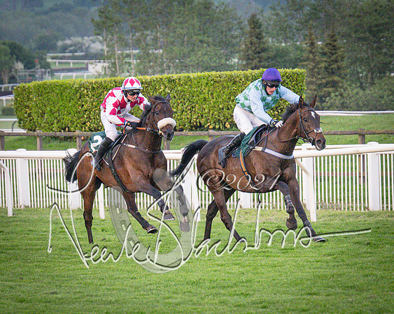 Race - 7 The Royal Gloucester Hussars Open Hunter's steeplechase 2m4f 127y (104 of 210)