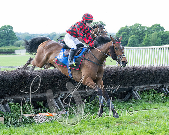 Race 5  - Maiden race 2m5F Div-2 (148 of 205)