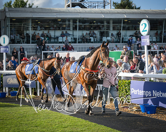 Race 4 - Peretemps Stratford Foxhunters (4 of 168)